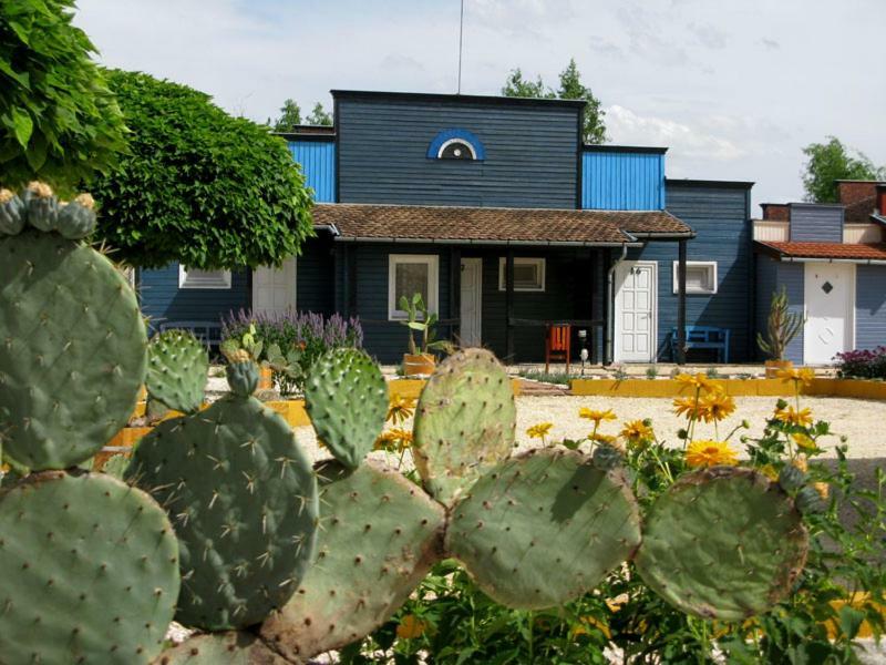 Convoy Panzio Bed & Breakfast Szajol Luaran gambar